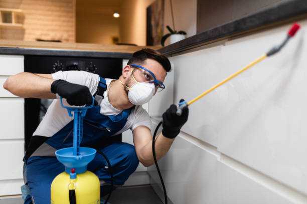 Trusted Bellville, TX Pest Control Experts