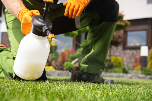 Professional Pest Control in Bellville, TX