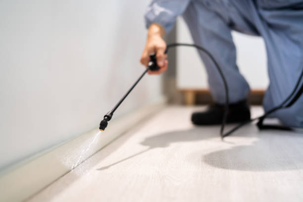 Pest Control Cost in Bellville, TX