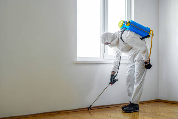 Best Affordable Pest Control Services  in Bellville, TX