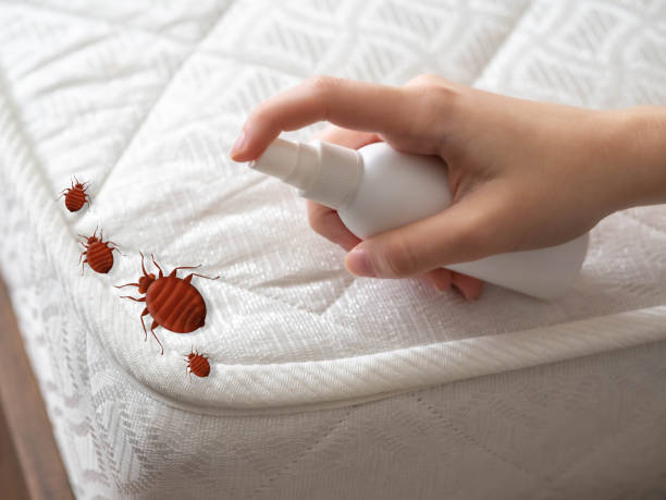  Bellville, TX Pest Control Pros
